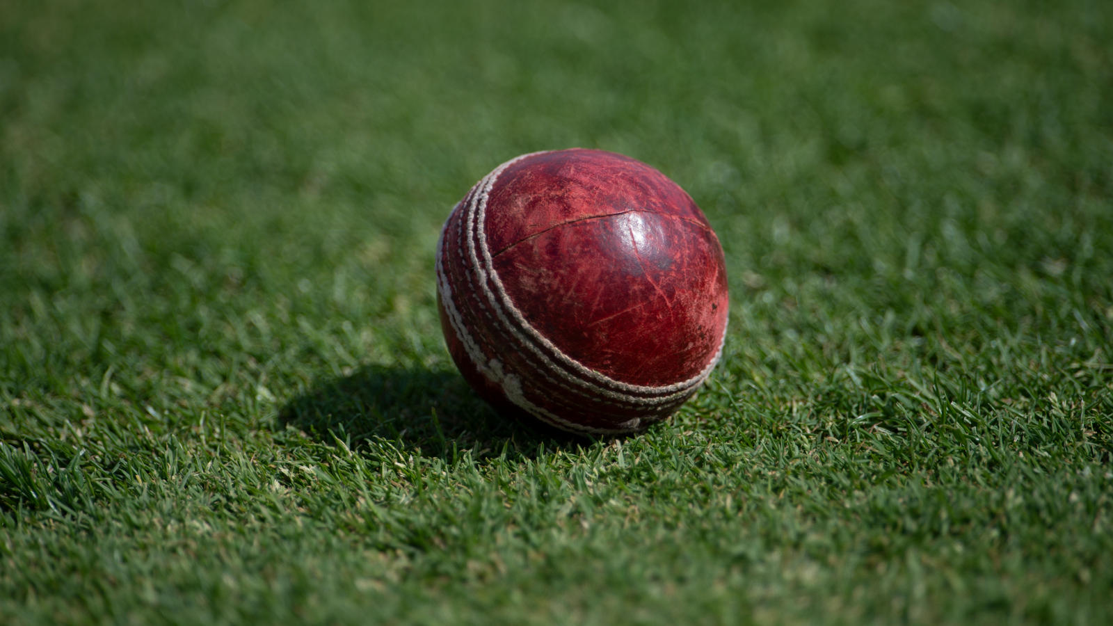 cricket red ball generic