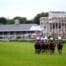 Nottingham Tips: Varian duo of interest on Tuesday