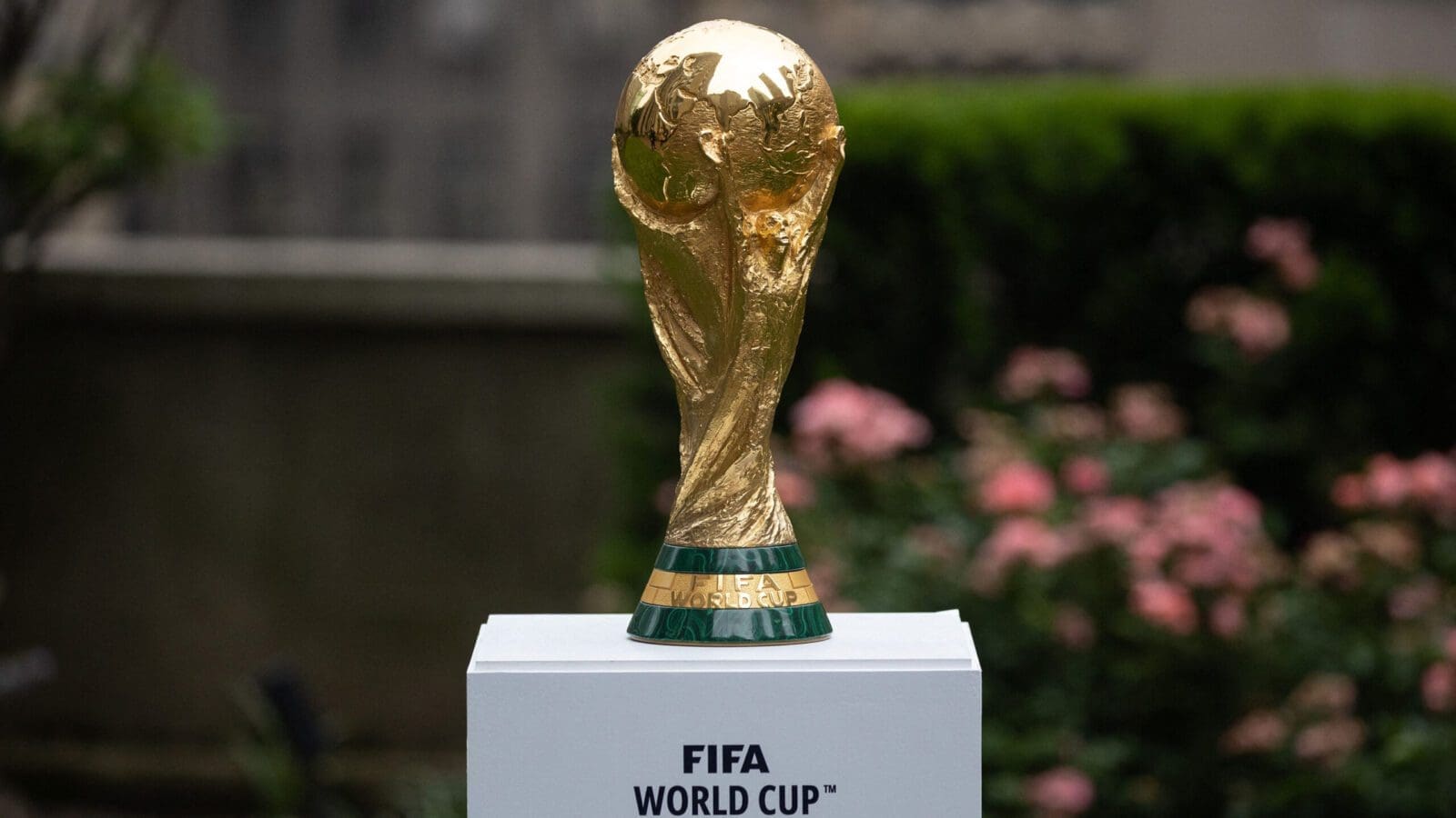 fifa world cup scaled
