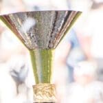 serie a trophy scaled