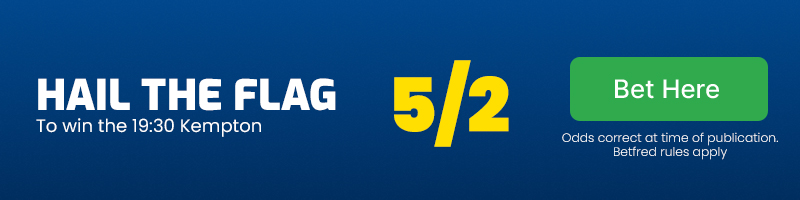 Hail The Flag to win the 19.30 Kempton at 5/2