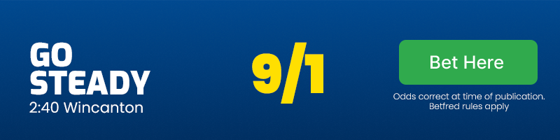Go Steady to win the 2:40 at Wincanton at 9/1