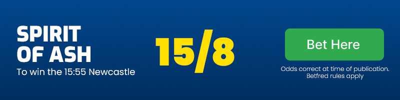 Spirit Of Ash to win the 15.55 Newcastle at 15/8