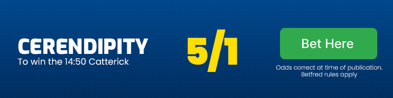 Cerendipity to win the 14.50 Catterick at 5-1