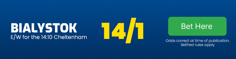 Bialystok each-way for the 14.10 Cheltenham at 14-1