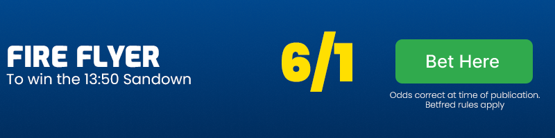 Fire Flyer to win the 13.50 Sandown at 6-1