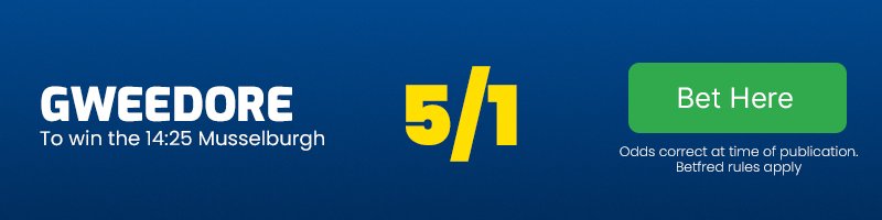 Gweedore to win the 14.25 Musselburgh at 5-1