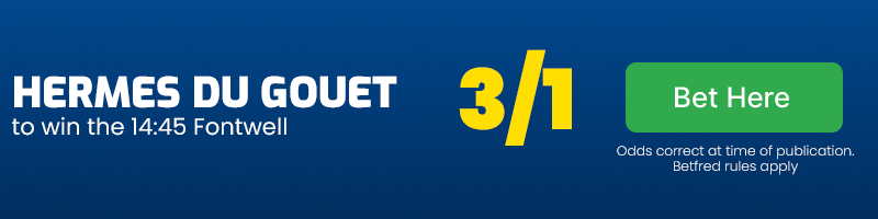 Hermes Du Gouet to win the 14.45 Fontwell at 3-1