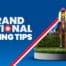 Grand National Betting Tips