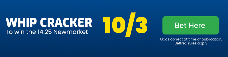 Whip Cracker to win 14.25 Newmarket at 10-3